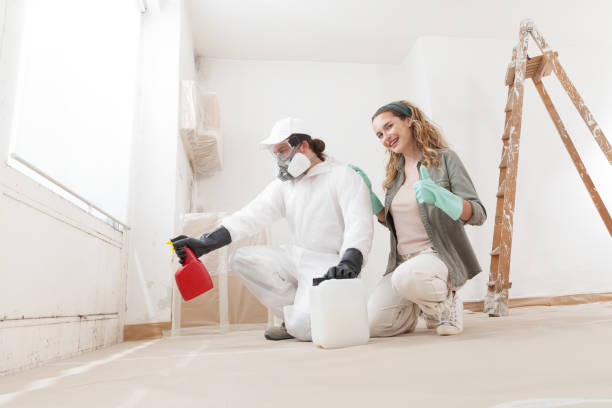 Reliable North Bend, NE Mold Removal Solutions