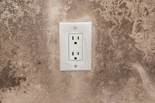 Best Residential Mold Inspection & Testing  in North Bend, NE